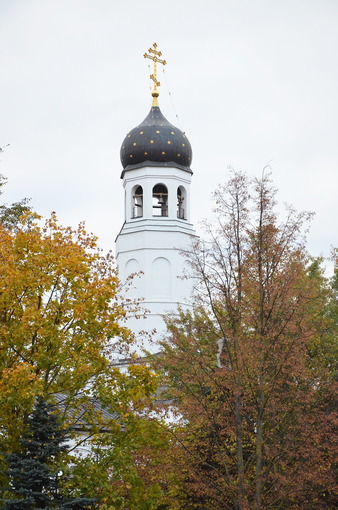 DSC_6262.JPG